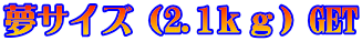 ���T�C�Y�i2.1�����jGET