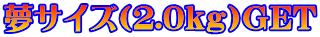 ���T�C�Y�i2.0kg�jGET