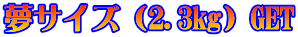 ���T�C�Y�i2.3kg�jGET